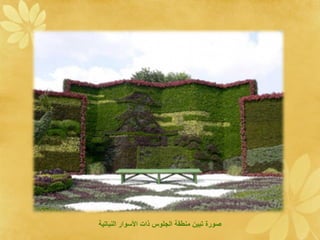 ‫صو ع د عن ي ةلج وس ةت ة اوة ةلن ا دي‬
 