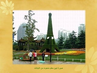 ‫عنقوت ع ةلن ا ات‬   ‫صو ع د ع‬
 