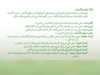 ‫ً‬
                                                                                       ‫صماًم ا: كباشمات األسمصال :‬
 ‫جمؿوقمة من اًمـباشمات اعمزهرة واًمتي شمتؿقز سموضمود سمعض أضمزائفـا ىلـ ؾمـطح األرض , وهـذه األضمـزا‬
                                            ‫ً‬
       ‫شمؽون لتؾ ة سماًمغذا وصاحلة يموؾمقؾة ًمإليم ار , ومن أ فا ـمبؼا ًمـوع اجلز اعمؿتؾئ سماًمغذا اآليت :‬

                                    ‫اًمؽورمات : وهي ؾماق موضمودة ىل اًمؽمسمة يمام ذم اجلالديوًمس واًمػريزيا .‬
                      ‫اًمريزومات : وهي ضمز من ؾماق ىل األرض واًمباىمي وموق األرض م ل اًمؽال واًمؽـا .‬
                      ‫ضمذور دركقة : وهي ضمز من اجلذور اعمؿتؾئ سماًمغذا م ل اًمداًمقا واألكقؿون واًمراكـؽقل .‬
                                                              ‫ضمذور ؿمبقفة سماألسمصال : م ل اًمزكبق ( اًمتؼموز ) .‬
‫أسمصال طمؼقؼقة : وهي ؾماق ىمرصقة م ل اًمـرضمس واإليـرس ايوًمــدي ويوضمـد ذم األسمصـال مـن طمقـث موقمـد‬
                                                                                ‫اًمزراقمة اآليت :‬
       ‫أسمصال ؿمتوية : وهي اًمتي شمزرع ذم اخلري وشمزهر ذم اًمشتا واًمرسمقع م ل اًمـرضمس واًمتقوًمقو .‬
                    ‫أسمصال صقػقة : وهي اًمتي شمزرع ذم اًمرسمقع وشمزهر ذم اًمصق واخلري م ل اًمزكبق .‬
                        ‫أسمصال شمصؾح ًمؾزراقمة ذم أي وىم من اًمسـة : م ل اجلالديوًمس واًمسقؽالمن .‬
‫أسمصال ؿمتوية وصقػقة : وأي سمعض أصـاومفا شمصؾح ًمؾصق واألصـاف األظمـرى شمصـؾح ًمؾشـتا م ـل‬
                                                                                        ‫اًمداًمقا .‬
 