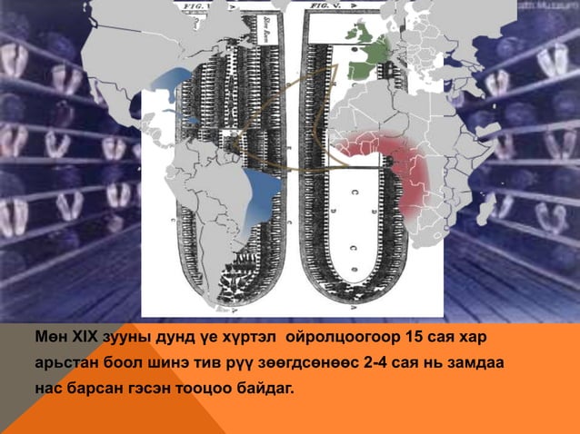 хүн амын байршил, нутагшилт 11-р анги