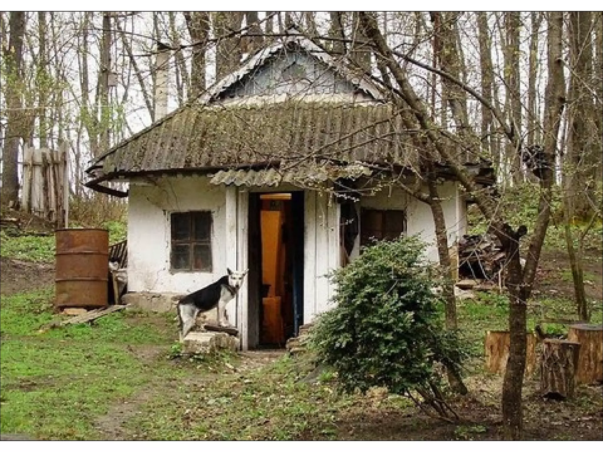 алкоголь страшний ворог