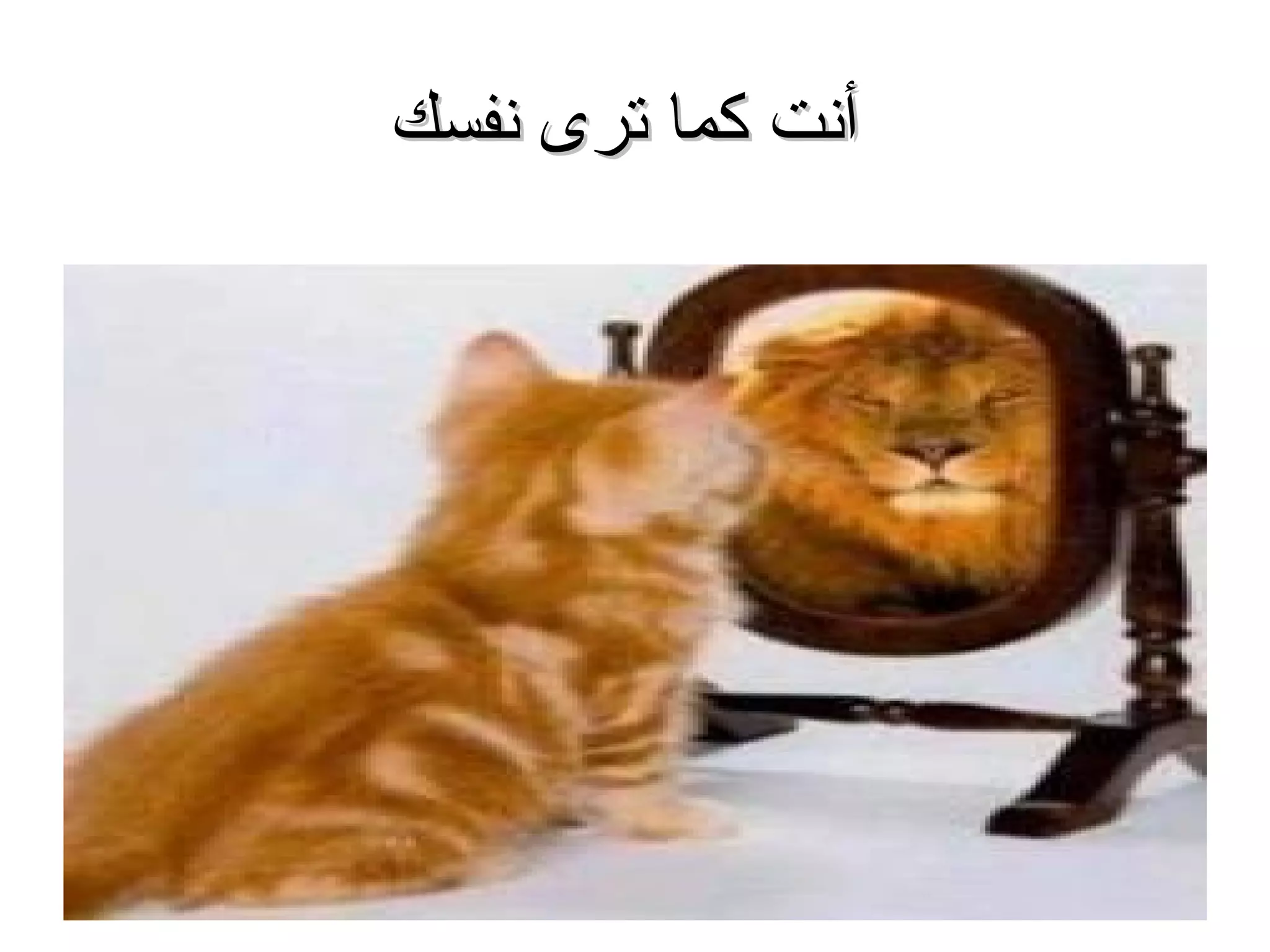 ‫أنت كما ترى نفسك‬




                   ‫14‬
 