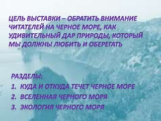 черное море и его жизнь