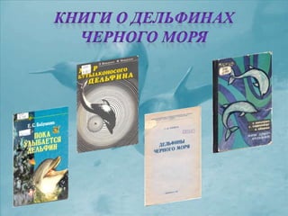 черное море и его жизнь