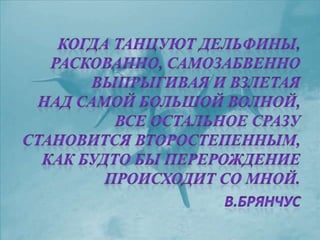 черное море и его жизнь