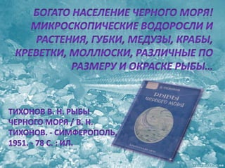 черное море и его жизнь