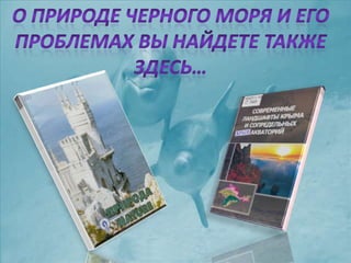 черное море и его жизнь