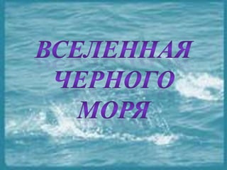 черное море и его жизнь