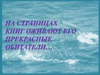 черное море и его жизнь