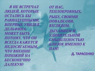 черное море и его жизнь