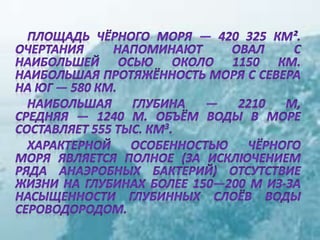 черное море и его жизнь