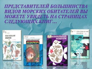 черное море и его жизнь