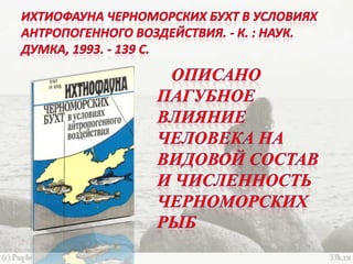 черное море и его жизнь