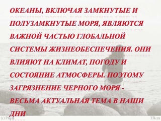 черное море и его жизнь