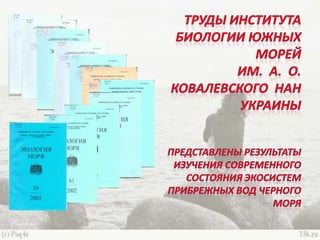 черное море и его жизнь