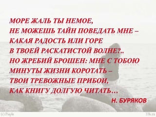 черное море и его жизнь