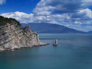 черное море и его жизнь