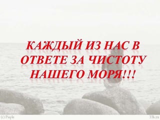 черное море и его жизнь