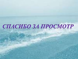 черное море и его жизнь