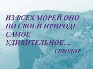 черное море и его жизнь