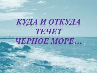 черное море и его жизнь