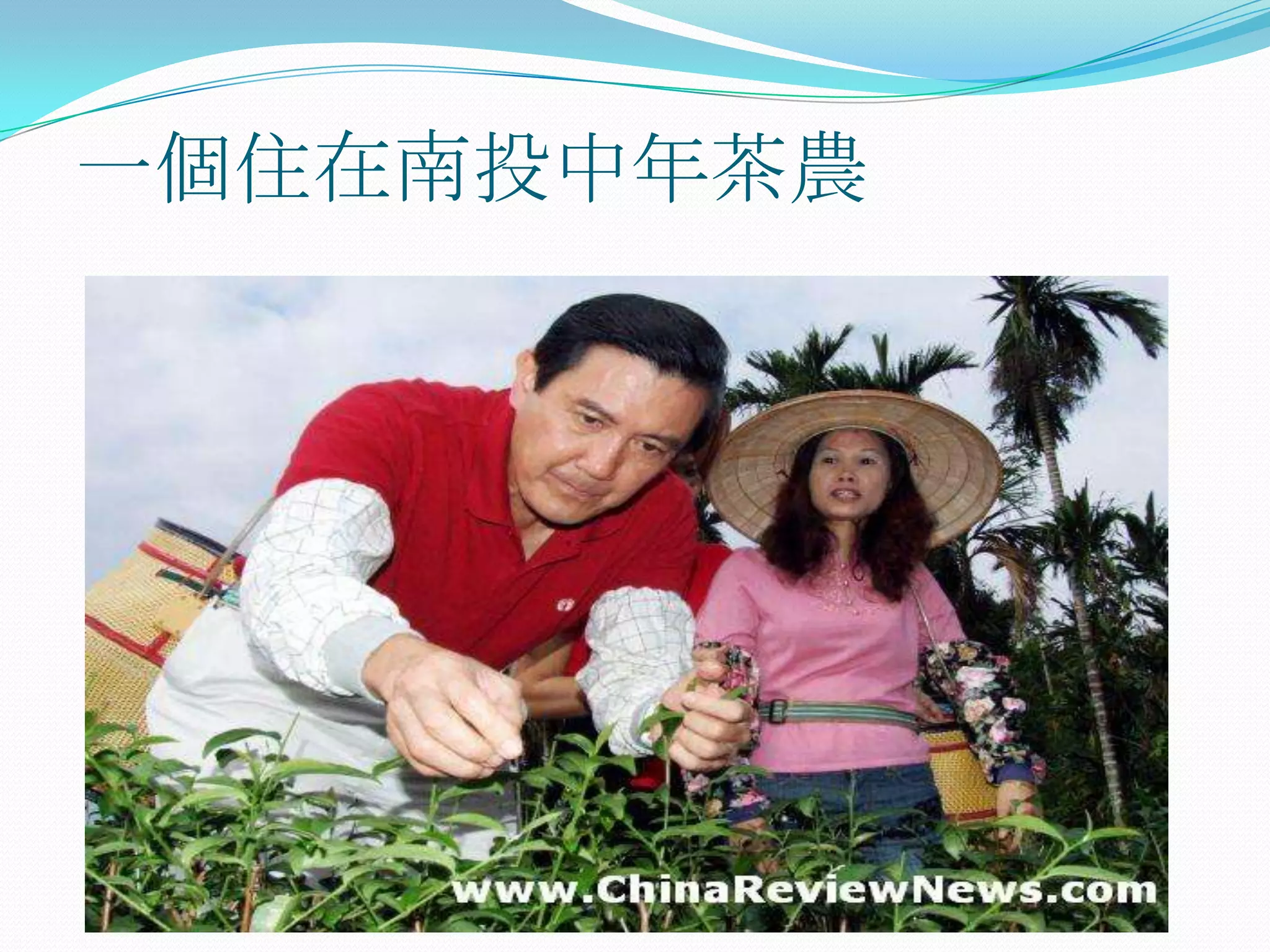 一個住在南投中年茶農
 