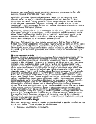мөн адил тулгарах бөгөөд энэ нь маш ховор, ихэвчлэн их хэмжээгээр бэлгийн
дааврын тэнцвэр алдагдсанаас үүсдэг байна.
Целлюлит үүссэнийг гэрчлэх өвөрмөц шинж тэмдэг бол арьс бэржгэр болж
хонхойх явдал юм. Цэх зогсож байхад арьсны гаднах төрх жигд бус бэржгэр
харагдахад целлюлит байгааг гэрчилнэ. Целлюлитыг оношлох өөр нэг шинж нь
цусан хангамж удааширсан байдагаас целлюлиттэй хэсгийн арьсны дулаан
харьцангуй хүйтэн тэмтрэгддэг бөгөөд илүү цайвар харагдана, энэ хэсэг нь наранд
шарахад бараг борлодоггүй байна.

Целлюлитэд өртсөн хэсгийн арьсыг гараараа чимхэж үзэхэд ус хэт их нэвчсэнээс
илүү удаан тэнийдэг нь ажиглагдана. Усархаг шингэний нэвчилт нэмэгдэх тусам
өөхөн давхарга улам хатуурч бэржгэр болж эхэлдэг. Целлюлит хатуурах тусам
түүнийг эмчлэх илүү бэрхшээлтэй болдог. Иймээс аль болох эрт хугацаанд
целлюлитээс ангижрах арга хэмжээ авч эхлэх хэрэгтэй.

Целлюлит байгаа гэдэг нь таны бие хор хуримтлуулж байгааг баталж байгаа
бөгөөд таны биед "цэвэрлэгээ" хийж, хорыг гадагшлуулах цаг болсныг илтгэх нэгэн
дохио болдог байна.Целлюлит үүсэх эх үүсвэрт буруу хооллолт, стресс, хортой
эмийн зүйлс, байнгын суугаа ажил болон маш их хэмжээний цай, кофе, архи тамхи
хэрэглэх, цусны эргэлтийн удаашрал, тунгалгын тогтолцооны зогсонгишил зэрэг
багтана.

Целлюлитын анатомийн
Өөхөн эд өөртөө их хэмжээний ус шингээснээс болж целлюлит үүсдэг гэж ойлгож
болно. Улмаар их хэмжээний ус шингээсэн өөхөн эд нь хавагнан ойролцоох
холбоос эдүүдээ дарж эхэлдэг. Холбоос эд үүний хариуд өөхний бөөгнөрөлийн
томролтыг хязгаарлахын тулд нягт эд ялгаруулдаг нь цусны эргэлтэнд саад болж
эхэлдэг. Ингэх үед арьсан доор овгор товгорууд бий болно. Заримдаа цусны
эргэлт саатсаны улмаас овгорууд нь үрэвсэн хөндүүртэй болдог. Насанд хүрсэн
хүний өөхөн эсийн хэмжээ нь харьцангуй тогтвортой байдаг гэж үздэг. Иймд өөх
хуримтлагдах буюу таргалах нь өөхөн эсийн тоон хэмжээ нэмэгдэх бус, харин
эсүүдийн хэмжээ томорсонтой холбоотой юм. Таргалалтын хэмжээ болон өөрийн
онцлогоос шалтгаалаад өөхөн эс нь 30-40 дахин томорч чаддаг.Целлюлит бий
болох явц тодорхой үе шаттайгаар явагддаг. Эхний шатанд целлюлит нь нүдэнд
бараг харагддаггүй. Хүний биеийн илүүдэл хор шүүдэг тунгалагийн тогтолцооны
урсгал удааширснаас хаван хуримтлагдан жин нэмсэн төдий харагддаг ч арьсны
гадаргуу хэвийн жигд, гөлгөр байна. Хоѐр дахь шатанд цусны хураагуур (венийн)
судасны тогтолцоо нь биед хэт их хэмжээгээр хуримтлуулсан ус, хаванг
гадагшлуулах ачааллаа даахаа больж биед шингэн хуримтлагдсаар хураагуур
судсыг боож, шингэний гадагшлах цорын ганц боломжийг хаадаг. Ингэснээр өөхөн
хуримтлал нь илүү нягт болж ирнэ. Судас боогдсоны улмаас хүчилтөрөгч орж
ирэхээ байхаар холбогч эд сорвижилтийн эд төст торлог үүсгэн тархаж эхэлнэ.
Энэ шатанд арьс гөлгөр мэт харагддаг ч чимхээд татаж үзвэл жүржийн хальс шиг
бэржгэр болсон нь харагдана. Холбогч эд нэг талаараа арьсанд, нөгөө талаараа
булчинд бэхлэгддэг болохоор целлюлитийг эмчлэхэд түвэгтэй болсон байдаг.
Өөхний эсүүд нь усжин, хор тээдэг бөгөөд тус хортой хэрэггүй зүйлсийг энгийнээр
арилгах амаргүй болдог байна.
Целлюлит үүсэх шалтгаанууд
Целлюлит үүсэх шалтгааныг яг нарийн тодорхойлоогүй ч, үүнийг тайлбарлах хэд
хэдэн онол байдаг. Үүнээс заримыг нь тайлбарлавал:
      Даавраас шалтгаалах хүчин зүйлс.




                                                             Тогтуун Хорвоо 39
 