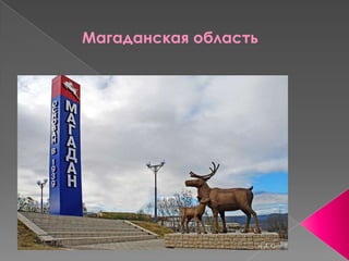 Магаданская область
 