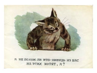 Посмотрите какие котята | PPT