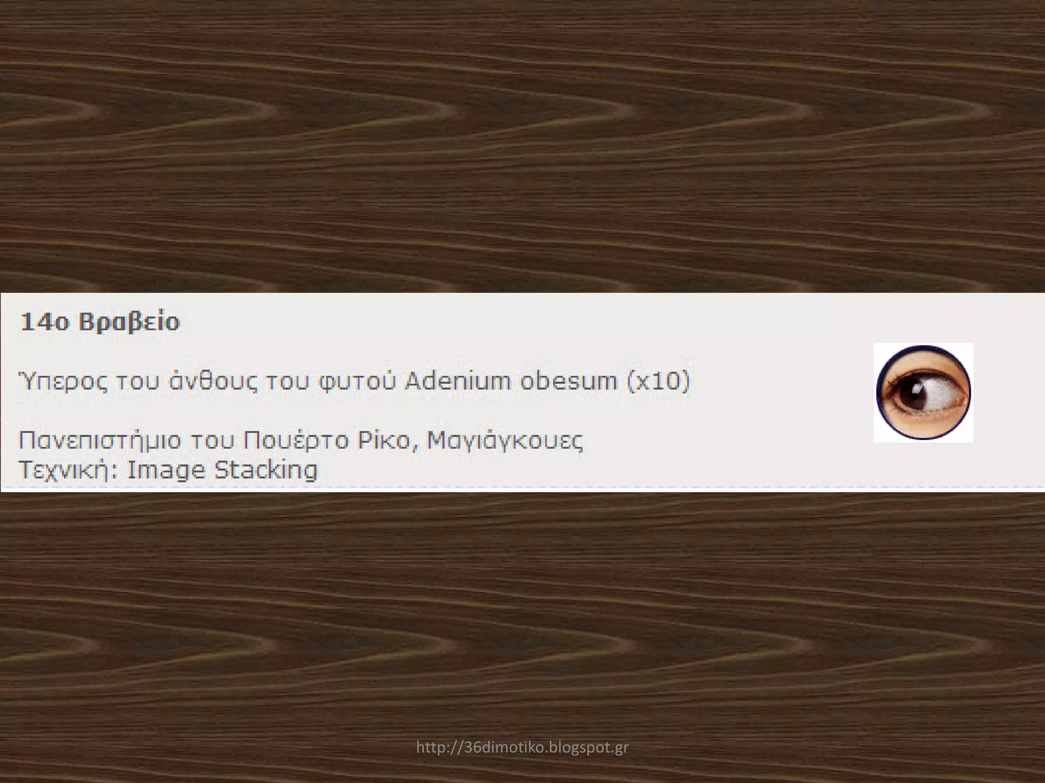 http://36dimotiko.blogspot.gr
 