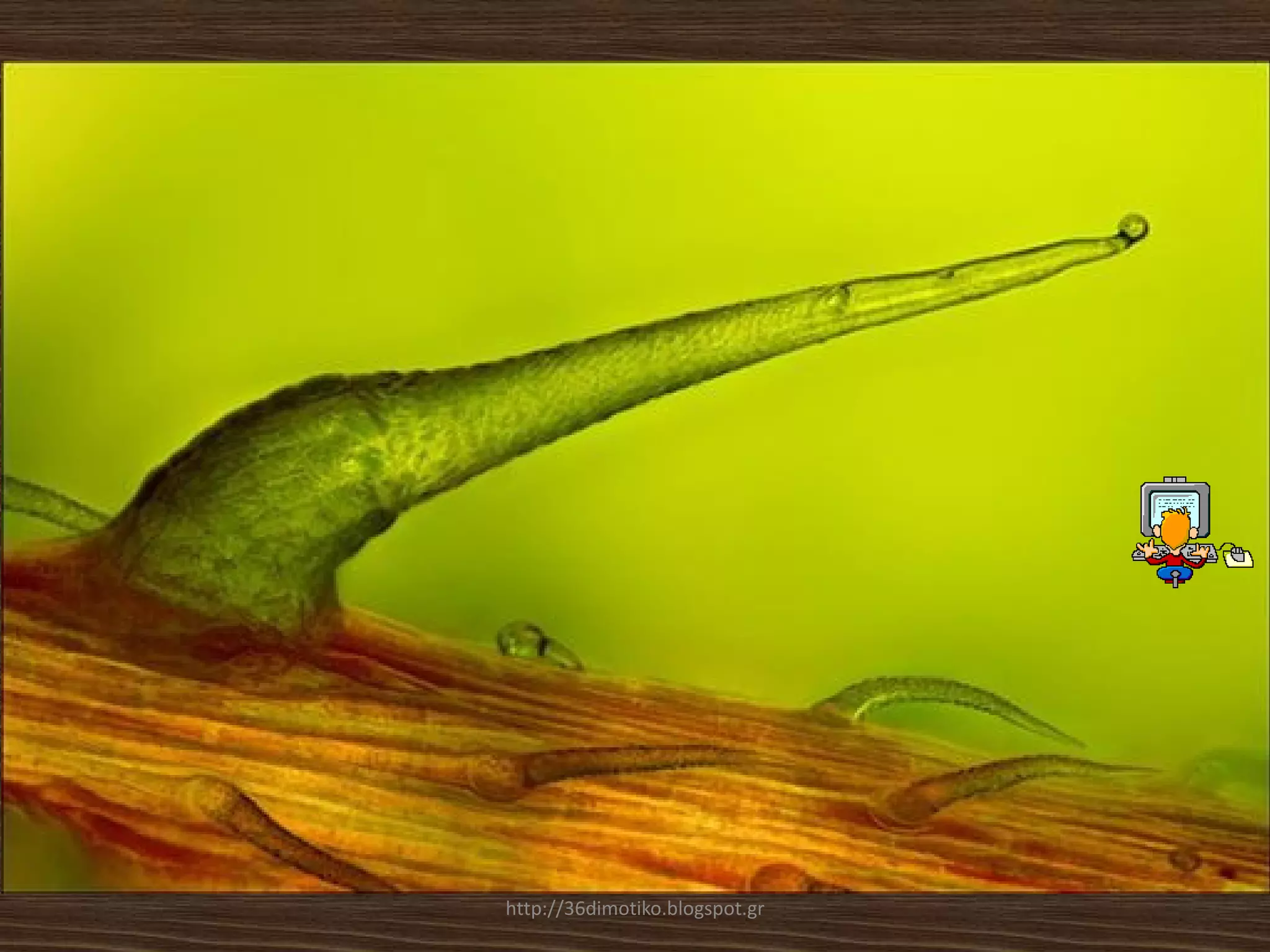 http://36dimotiko.blogspot.gr
 