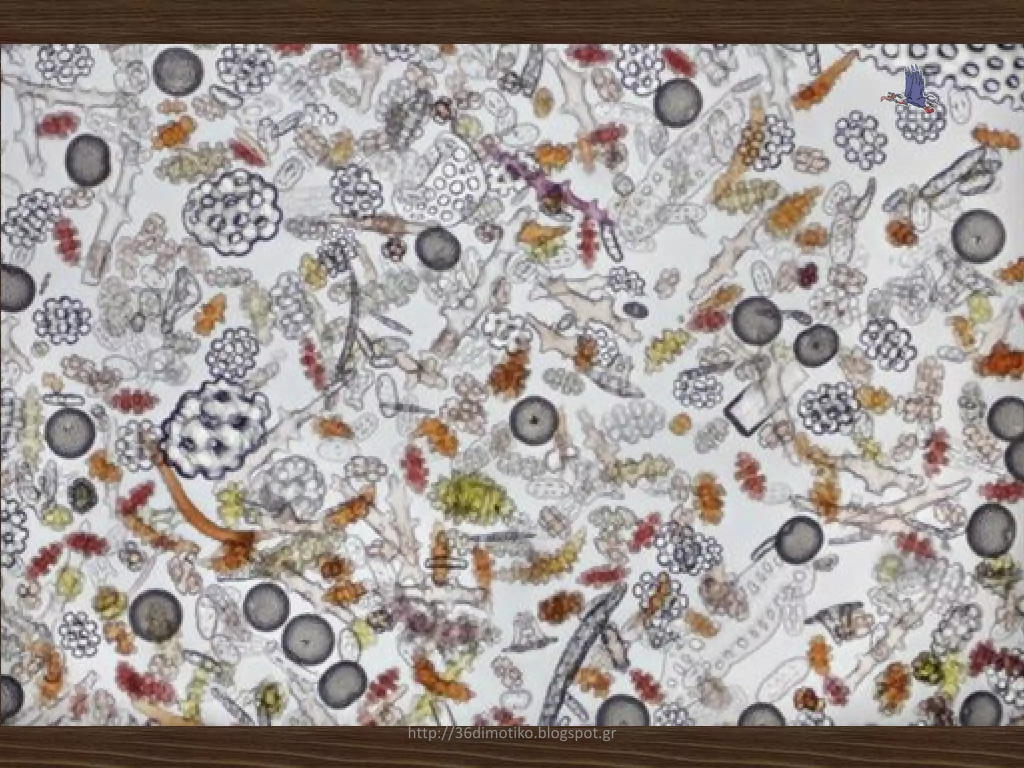 http://36dimotiko.blogspot.gr
 