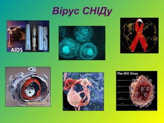 Вірус СНІДу
 