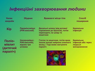 Інфекційні захворювання людини
  Назва       Збудник           Вражаючі місця тіла                Спосіб
 хвороби                                                         поширення


  Кір      Параміксовірус
           (РНК-вмісний)
                            Дихальні шляхи (від ротової
                            порожнини до бронхів), потім
                                                              Крапельна
                                                              інфекція
                            переходить на шкіру та
                            кишечник

           НикорнавІрус;    Глотка та кишечник, потім кров;   Крапельна
 Поліо-    РНК-вмісний),    інколи рухові нейрони спинного    інфекція або через
 міелит    відомо три       мозку, і тоді може наступити      людські
           штамма           параліч                           випорожнення
(дитячий
параліч)
 
