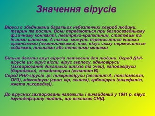 Значення вірусів
Віруси є збудниками багатьох небезпечних хвороб людини,
   тварин та рослин. Вони передаються при безпосередньому
   фізичному контакті, повітряно-крапельним, статевим та
   іншими шляхами. А також можуть переноситися іншими
   організмами (переносниками): так, вірус сказу переноситься
   собаками, лисицями або летючими мишами.

Більше десяти груп вірусів патогенні для людини. Серед ДНК-
   вірусів це: вірус віспи, вірус герпесу, аденовіруси
   (захворювання дихальних шляхів та очей), паповавіруси
   (бородавки), гепаднавіруси (гепатит B).
Серед РНК-вірусів це: пикорнавіруси (гепатит A, полиіомієліт,
   ОРЗ), міксовіруси (грип, кір, свинка), арбовіруси (енцефаліт,
   жовта лихорадка)).

До вірусних захворювань належить і винайдений у 1981 р. вірус
  імунодефіциту людини, що викликає СНІД.
 