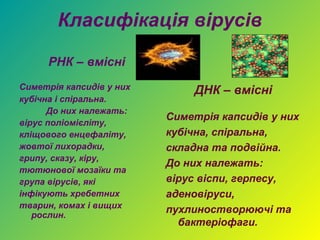 Класифікація вірусів

      РНК – вмісні
Симетрія капсидів у них       ДНК – вмісні
кубічна і спіральна.
      До них належать:
                          Симетрія капсидів у них
вірус поліомієліту,
кліщового енцефаліту,     кубічна, спіральна,
жовтої лихорадки,         складна та подвійна.
грипу, сказу, кіру,
                          До них належать:
тютюнової мозаїки та
група вірусів, які        вірус віспи, герпесу,
інфікують хребетних       аденовіруси,
тварин, комах і вищих
   рослин.
                          пухлиностворюючі та
                            бактеріофаги.
 