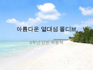 아름다운 열대섬 몰디브

  6학년 단반 곽동혁
 