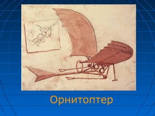 Орнитоптер
 