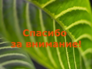 Спасибо
за внимание!
 