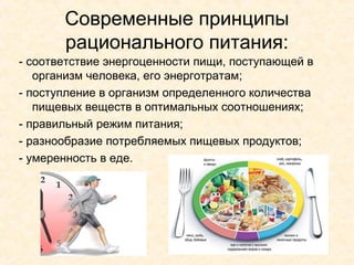 Современные принципы
       рационального питания:
- соответствие энергоценности пищи, поступающей в
   организм человека, его энерготратам;
- поступление в организм определенного количества
   пищевых веществ в оптимальных соотношениях;
- правильный режим питания;
- разнообразие потребляемых пищевых продуктов;
- умеренность в еде.
 