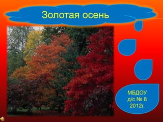 Золотая осень




                МБДОУ
                д/с № 8
                 2012г.
 