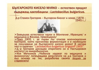 БЪЛГАРСКОТО КИСЕЛО МЛЯКО – естествен продукт
 съдържащ лактобацили : Lactobacillus bulgaricus.
  Д-р Стамен Григоров – български биолог и лекар /1878 –
                                                1945 г. /




   Завършва естествени науки в Монпелие /Франция/ и
 медицина в Женева /Швейцария/
   През 1905 г. за първи път описва млечнокиселия
 бактерий, който причинява ферментация и е необходим
 за получаване на българското кисело мляко! В негова
                                                     1905”
 чест е наречен “ Lactobacillus bulgaricus Grigoroff 1905”.
   Д–р Григоров докладва откритието си в Пастьоровия
 институт по микробиология.
             микробиология.
   Иля Мечников /Нобелов лауреат по медицина и
 физиология/ потвърждава резултатите на д-р Григоров и
 въз основа на тях, разработва своята теория за
 стареенето!
 