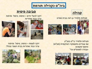 ‫ביה"ס כקהילה תורמת‬
            ‫סביבה פיסית‬                                      ‫קהילה‬
‫זיקה לבעלי חיים – טיפוח, טיפול  ופיתוח ‬
                      ‫ערכי כבוד ואחריות‬      ‫פעילות תלמידי גן רווה בבית ספרנו‬




                                                    ‫פעילות תלמידי בי"ס בטב"ע ‬
  ‫זיקה לצומח – טיפוח, טיפול  ופיתוח ‬      ‫עם עובדים בתעסוקה השיקומית )מע"ש(‬
‫ערכי כבוד ואחריות בבית הספר ובכלל.‬                               ‫-איסוף פקאנים‬
                                                          ‫-עבודה למפעלים וכד'‬
 