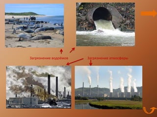Загрязнение водоёмов   Загрязнение атмосферы
 