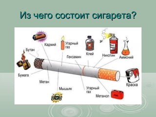 Из чего состоит сигарета?
 