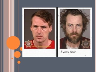 правда о наркотиках