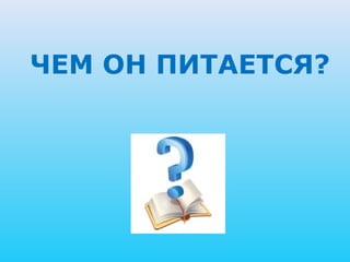 ЧЕМ ОН ПИТАЕТСЯ?
 