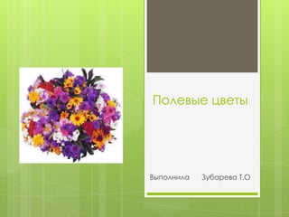 Полевые цветы




Выполнила   Зубарева Т.О
 