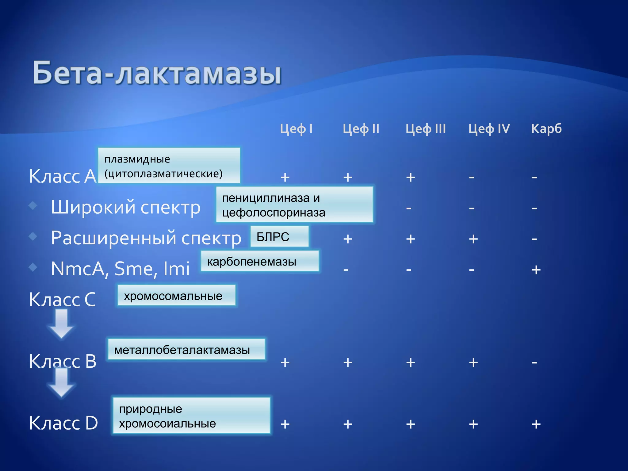 Цеф I   Цеф II   Цеф III   Цеф IV   Карб

          плазмидные
Класс А   (цитоплазматические)+           +        +         -        -
                      пенициллиназа и
 Широкий спектр цефолоспориназа
                              +           -        -         -        -
 Расширенный спектр БЛРC     +           +        +         +        -
 NmcA, Sme, Imi карбопенемазы-           -        -         -        +
Класс С хромосомальные

           металлобеталактамазы
Класс B                           +       +        +         +        -

            природные
Класс D     хромосоиальные        +       +        +         +        +
 