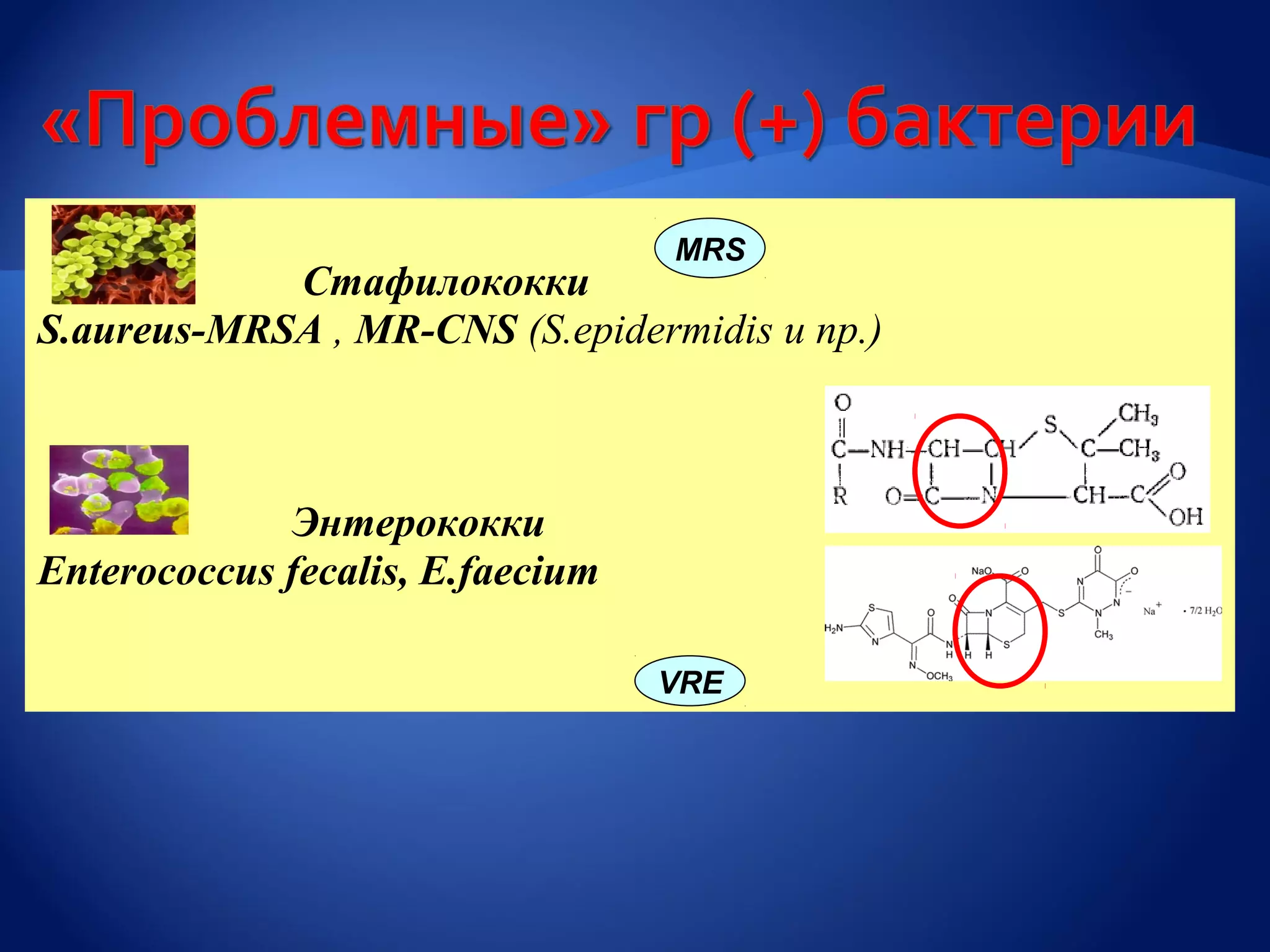 MRS
            Стафилококки
S.aureus-MRSA , MR-CNS (S.epidermidis и пр.)



             Энтерококки
Enterococcus fecalis, E.faecium

                                  VRE
 